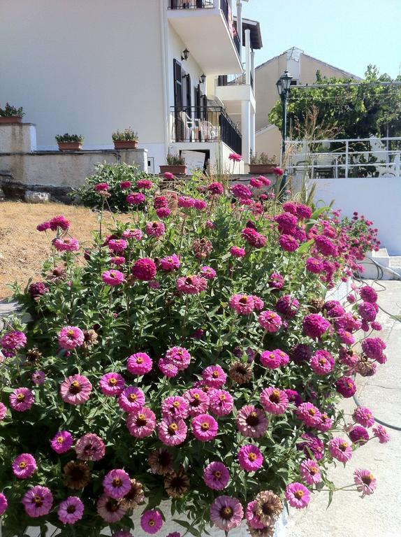 Dimitrakis Apartments Kassiopi Luaran gambar