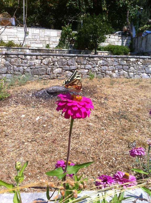 Dimitrakis Apartments Kassiopi Luaran gambar